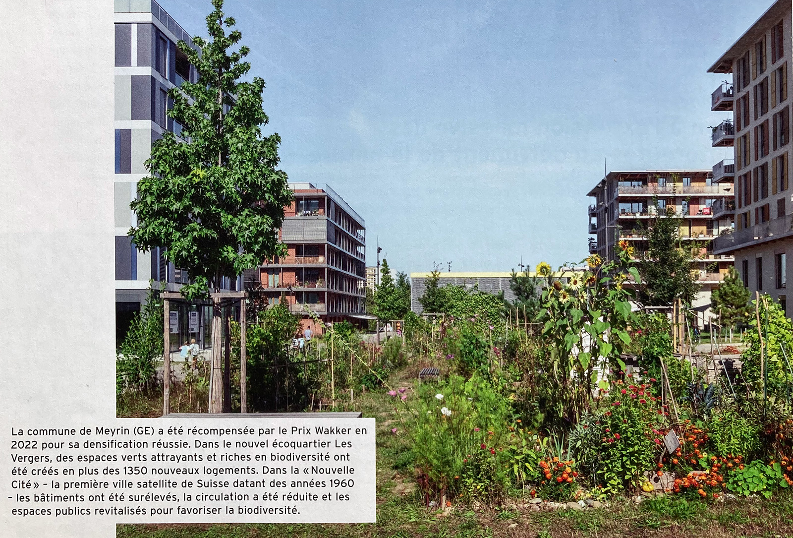 exemple d'ecoquartier