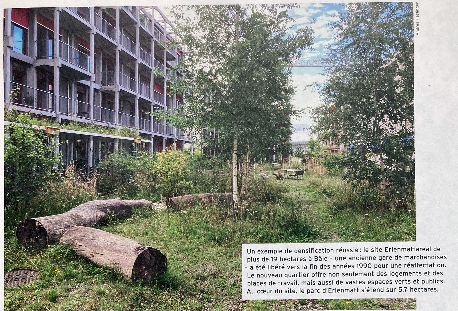 exemple d'ecoquartier