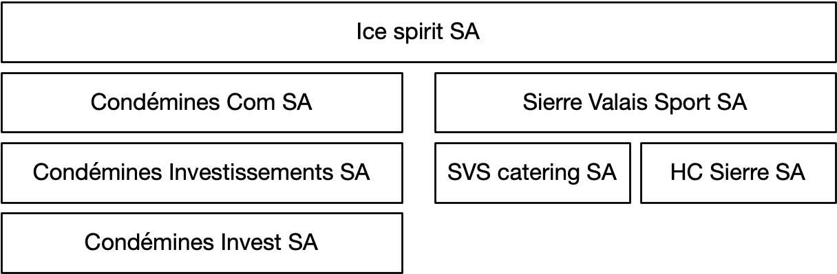 structure en sociétés